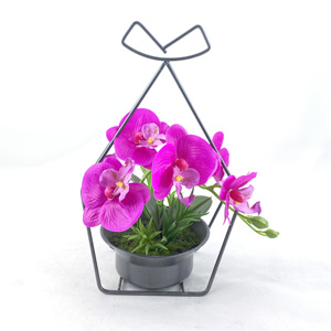 Bulbes et graines de fleurs d'amarilles, roses artificielles écologiques, lot multi-pièces pour l'intérieur, pour mariage, Thanksgiving, Pâques - Product Image 1