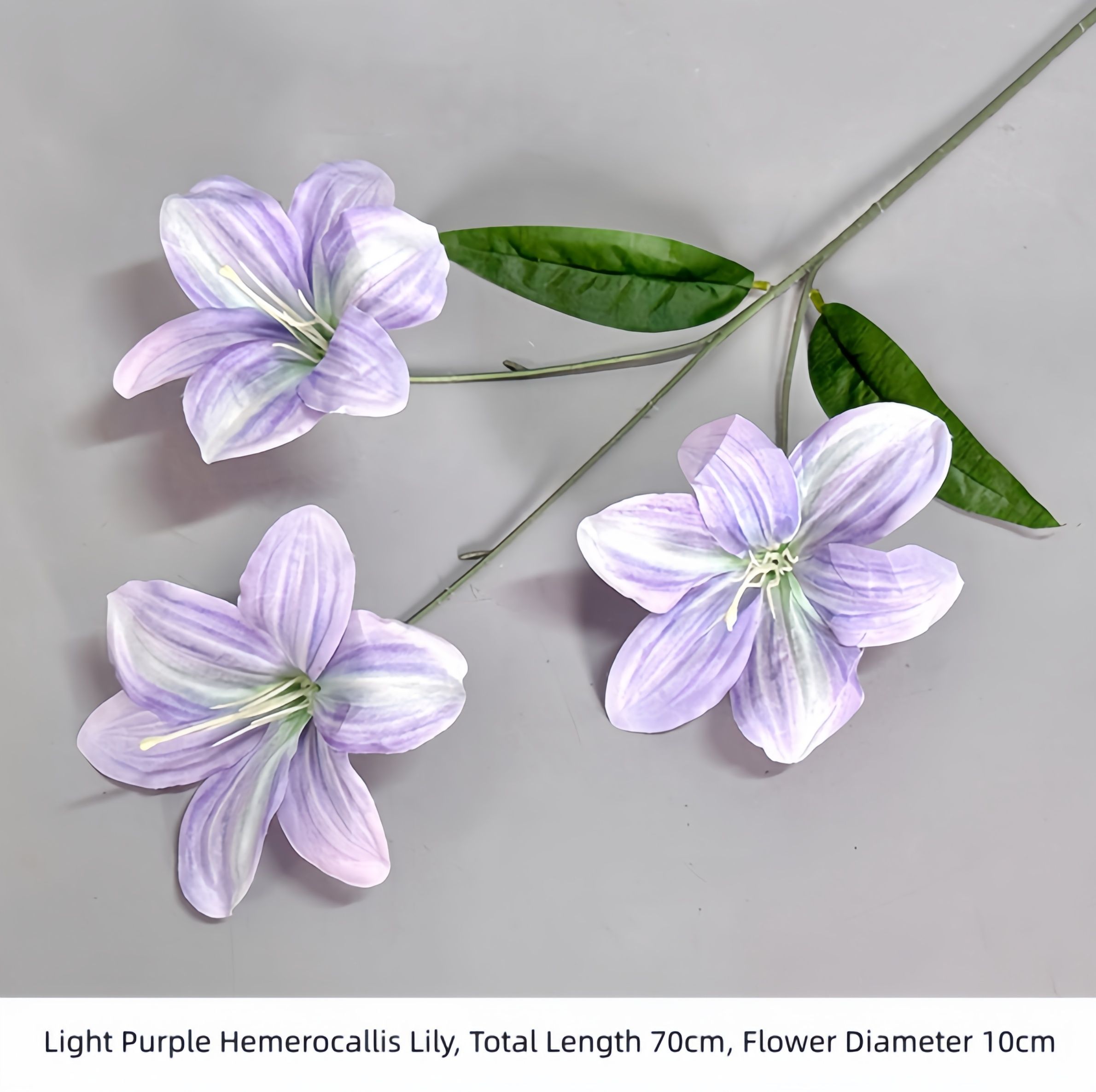 Light Purple Hemerocallis Lily