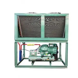 Buen Sistema de compresor de refrigeración Unidad de condensador Unidad de condensación de almacenamiento en frío para enfriador