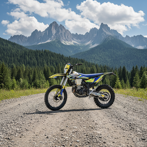 Motocicleta Todoterreno GX-Olaf-NC450 de Gasolina, 450cc, 4 Tiempos, Refrigerada por Agua, Suministro de Combustible PWK38, SOHC, 4 Válvulas, Dirección de Aleación de Aluminio CNC - Product Image 3