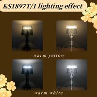 2025 nouveau noir acrylique lampe cristal PC corps européen Simple Table lumière pour salon café fête AC alimentation