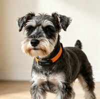 Collar Inteligente para Perros con GPS, Posicionamiento en Tiempo Real, Valla Virtual, Luz LED, Indicaciones Sonoras, Monitor de Salud, Diagnóstico IA, Resistente al Agua, 20+ Funciones