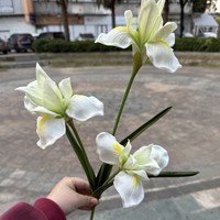 Bunga Anggrek Real Touch Artificial Flower PU Bunga Iris Buatan untuk Dekorasi Pernikahan dan Rumah Bunga Unik