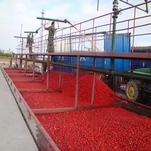 Línea de producción de pasta de tomate concentrada Línea de procesamiento de alimentos de pasta de tomate concentrada doble Línea de procesamiento de salsa de tomate