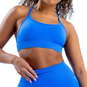 Soutien-gorge de sport d'entraînement de gymnastique pour femmes Logo personnalisé sans couture <span class=keywords><strong>dos</strong></span> nu croisé <span class=keywords><strong>haut</strong></span> pour Impact Yoga soutien-gorge à la mode soutien-gorge d'entraînement fonctionnel - Product Image 1