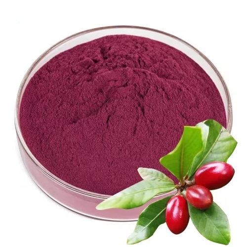 Nuoyuan Supply High Quality Top Selling Free Sample Miracle Berry Freeze Dried Powder with Best Price