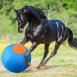 Balle de jeu durable et interactive pour chiens et chevaux, idéale pour l'extérieur, pour petits, moyens et grands chiens, jeu de lancer, entraînement et herding - Product Image 4