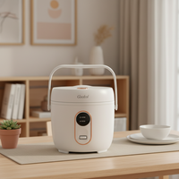 Mini cuiseur à riz en acier inoxydable électrique pour la maison avec tasse à mesurer jusqu'à 1L