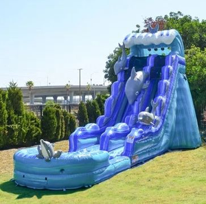 Tobogán Acuático Inflable Gigante de PVC de Calidad Comercial <span class=keywords><strong>para</strong></span> Adultos, Toboganes Inflables Personalizados de Calidad Comercial <span class=keywords><strong>para</strong></span> Adultos - Product Image 2