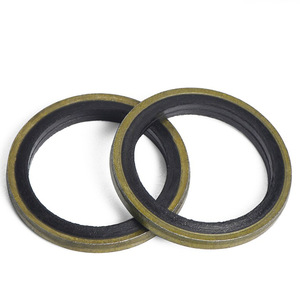 ปะเก็นซีลโลหะ ยาง NBR สำหรับระบบไฮดรอลิกยานยนต์ อะไหล่มาตรฐาน GBT29463 - Product Image 2