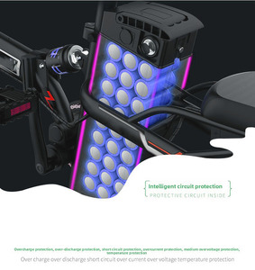 Tiger Flash Electric Bicycle <strong>24v</strong> 36v 48v <strong>Battery</strong> Pack <strong>10ah</strong> 15ah 20ah 25ah <strong>10ah</strong> 15ah 20ah 25ah Downtube <strong>10ah</strong> <strong>Lithium</strong> Ion <strong>Battery</strong> - Product Image 5