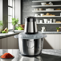 Picadora de Carne Eléctrica Automática de Alta Resistencia, 3L, Mini, Hecha en China, Picadora de Carne de Mesa de 3L para el Hogar