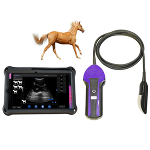 Mesin diagnostik <span class=keywords><strong>Ultrasound</strong></span> genggam nirkabel, peralatan medis pemindai <span class=keywords><strong>Ultrasound</strong></span> Vet portabel untuk dokter hewan - Product Image 1