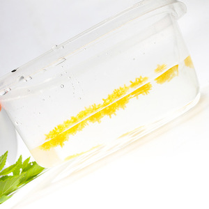 Hessen 1.5cm 0.6g Esche Galleggianti Pop Fishing per Carpe, Boilie in Silicone Elastico al Gusto di Mais, Materiale per Rig da Fondo, per Zander e <span class=keywords><strong>Spigola</strong></span> - Product Image 6