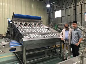 Mesin Penyortir Udang Harga Pabrik Mesin Gradasi Ukuran Udang - Product Image 2