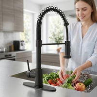 Robinet de cuisine moderne en acier inoxydable 304 à poignée unique et douchette extractible, à montage sur plan.