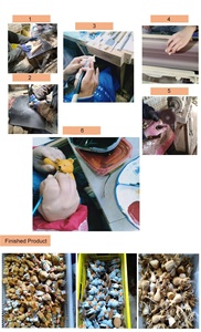 Statuette di Orso in <span class=keywords><strong>Legno</strong></span> Incise Personalizzate, Decorazioni Ecologiche da Tavolo per Interni, Anniversari e Matrimoni - Product Image 5