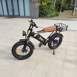 Dk200 Pro Us Warehouse Livraison gratuite Drop Shipping Summer Beach 1200w Vélo hybride pour adultes - Product Image 3