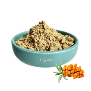 ผงสารสกัดจากผลไม้ Seabuckthorn,ผงสารฟลาโวนอยด์ Seabuckthorn คุณภาพสูงสำหรับการดูแลสุขภาพ