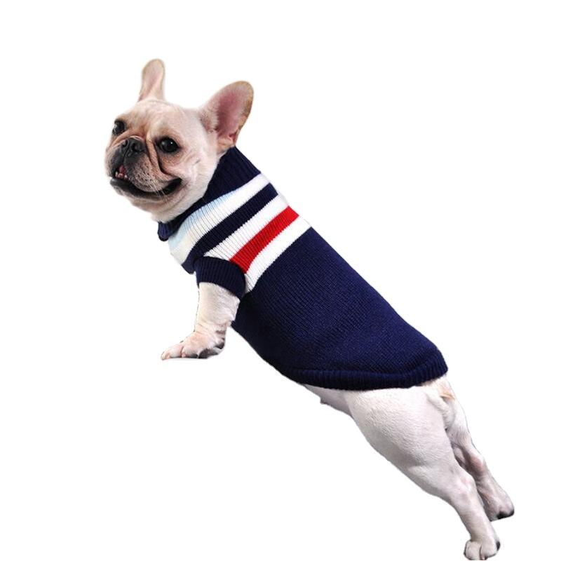 kitten clothes petsmart