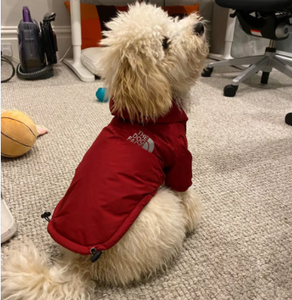 थोक Windproof सर्दियों गर्म और शीतल स्वनिर्धारित पशु सामान कुत्ते कपड़े पिल्ला के लिए Hoodies - Product Image 2
