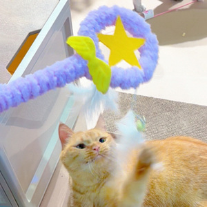 Jouet en peluche pour chat étoile en peluche pour animaux de compagnie, bâton de laine, plume, jouets interactifs pour chats, cloche interactive, fournitures pour animaux de compagnie - Product Image 4