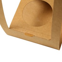 Sacs fourre-tout en papier kraft laminé personnalisables en stock pour plantes succulentes, plantes en pot, emballage cadeau, boîtes à fleurs, fleurs DIY