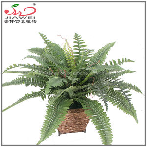 Hojas de Helecho Artificiales Ecológicas al por Mayor de Fábrica China, Tipo Árbol de Plástico y Tela, Altura Personalizada para Decoración de Interiores - Product Image 2