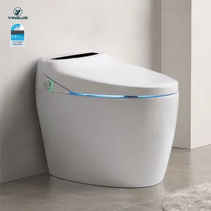 Wholesale Modern Sanitary Ware One Piece Electric Smart Toilet Intelligent Bidet Bathroom Wc Ceramic Floor Mounted Toilet