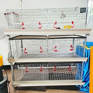 Cage de couvaison pour poussins, équipement d'élevage avicole, cage <span class=keywords><strong>à</strong></span> batterie de type H <span class=keywords><strong>à</strong></span> 3 niveaux et 2 portes, <span class=keywords><strong>à</strong></span> <span class=keywords><strong>vendre</strong></span> - Product Image 1