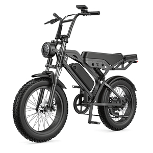 Vélo Électrique Tout-Terrain Rétro 1000W à Pneus Larges, 48V, Suspension Intégrale, 2 Places, Vente en Gros, Personnalisable, Fabrication OEM ODM - Product Image 4