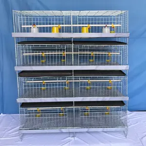 Poultry Chick Birds Baby Cage Chicken