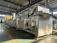 Volledig automatische continue friteuse met transportband voor het maken van knapperige snacks uit pellet-, chip- en bonenproducten.