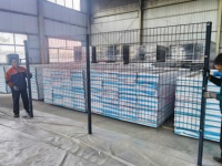 Clôture en grillage double 686 durable pour extérieur, revêtement poudré, grillage à double fil horizontal