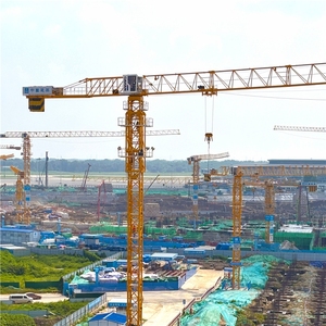 Grúa Torre Marca China 8 Toneladas 10 Toneladas QTZ125-6515 Grúa Torre Sin Pluma Grúa de Construcción - Product Image 1