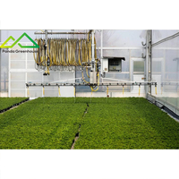 Conception intelligente de système d'irrigation pour serres, système d'arrosage automatique et services pour projets agricoles