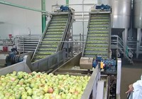 Voedselverwerkingslijn voor fruit, groentepulp en sap, inclusief mixer, warmtewisselaar, automatische vul- en verpakkingsapparatuur (voedselveilige roestvrij staal)