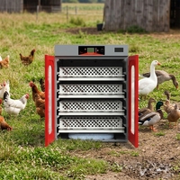Incubateurs à œufs rouges chinois HHD WONEGG pour l'éclosion de 1000 œufs de poule, couveuses automatiques
