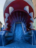 Grandes toboggans aquatiques professionnels, toboggans aquatiques commerciaux, toboggans gonflables géants pour fêtes au bord de la piscine, toboggan gonflable géant pour jardin