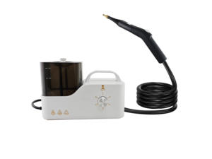 Soddisfa le Esigenze di Pulizia della Casa Intera con il Pulitore a Vapore Elettrico a Riscaldamento Rapido 1600W/2600W Tempo di Riscaldamento 0-60s per Uso Domestico - Product Image 1