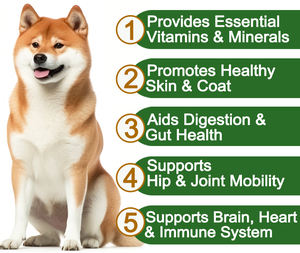 Cibo per animali domestici condroitina articolazione dell'anca pet supporto vitaminico salute Immune integratore multivitaminico cane - Product Image 4