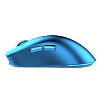 Souris de jeu personnalisable haut de gamme avec capteur PAW3955 8Khz Nordic Master Control pour les marques de jeux/streamers