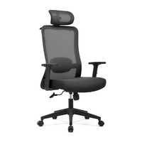 Chaise de bureau ergonomique Foshan, chaise de direction en mesh, support lombaire 2D, accoudoirs réglables en hauteur, appui-tête 2D
