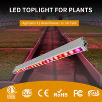 Module d'éclairage LED pour culture 250W, spectre complet 450nm 660nm, pour horticulture, serre, hydroponie, fraises, concombres, tomates, fleurs