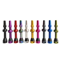 Valve universelle Presta/Schrader sans chambre à air 40 mm avec noyau de valve amovible et capuchon fonctionnel – Accessoires de vélo légers et durables