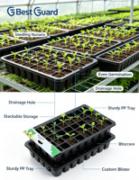 Emballage en blister en plastique PET personnalisé pour semis de plantes, boîte à clapet avec couvercle à charnière, emballage recyclable