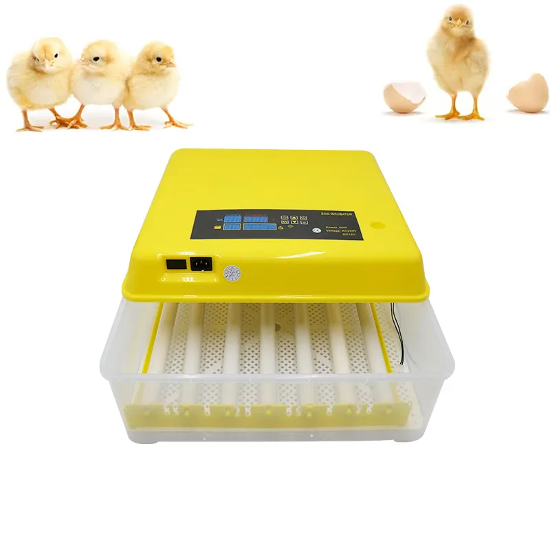 Incubateur automatique pour œufs 48 unités, couveuse de volaille numérique pour l'éclosion des poulet, canard, chèvre, caille, oiseaux