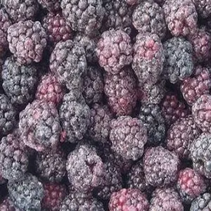 优质冷冻新鲜黑加仑水果冷冻黑莓