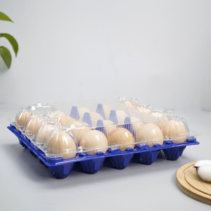 Hot Sale Disposable 30-Cell Plastic Medium <strong>Egg</strong> Tray Clamshell PET <strong>Material</strong> Blister Easy Bottom Cover Separation Food Grade - Product Image 4