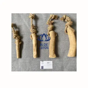Big Sale PET Chew Wood Coffee DOG SQUASH Sticks Toy From Viet Nam